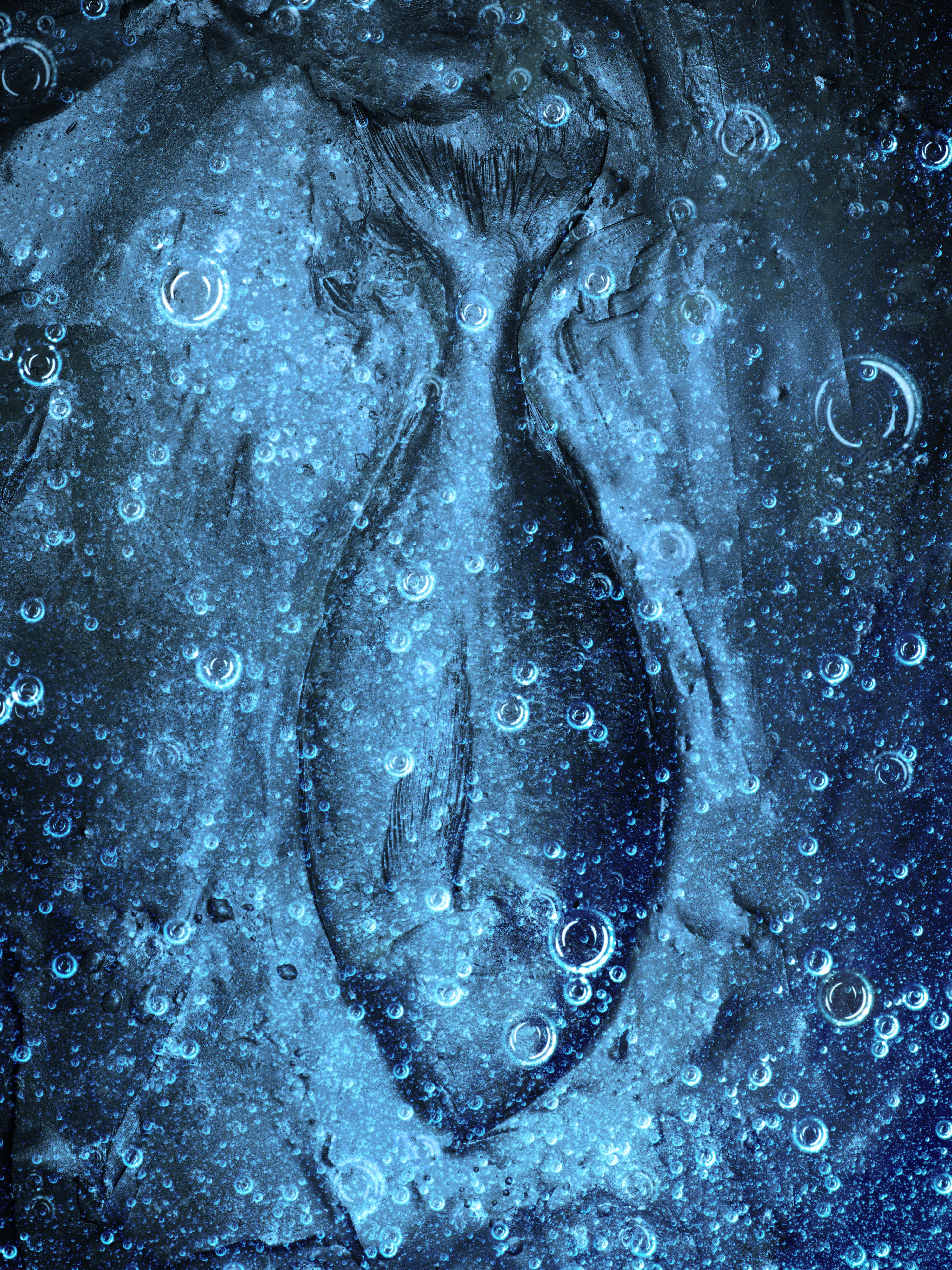 fish2